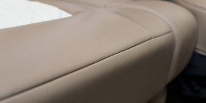 Détail sellerie bicolore