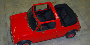 Sellerie Mini Rover